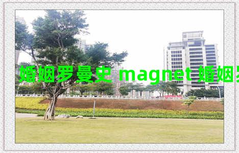 婚姻罗曼史 magnet 婚姻罗曼史百科